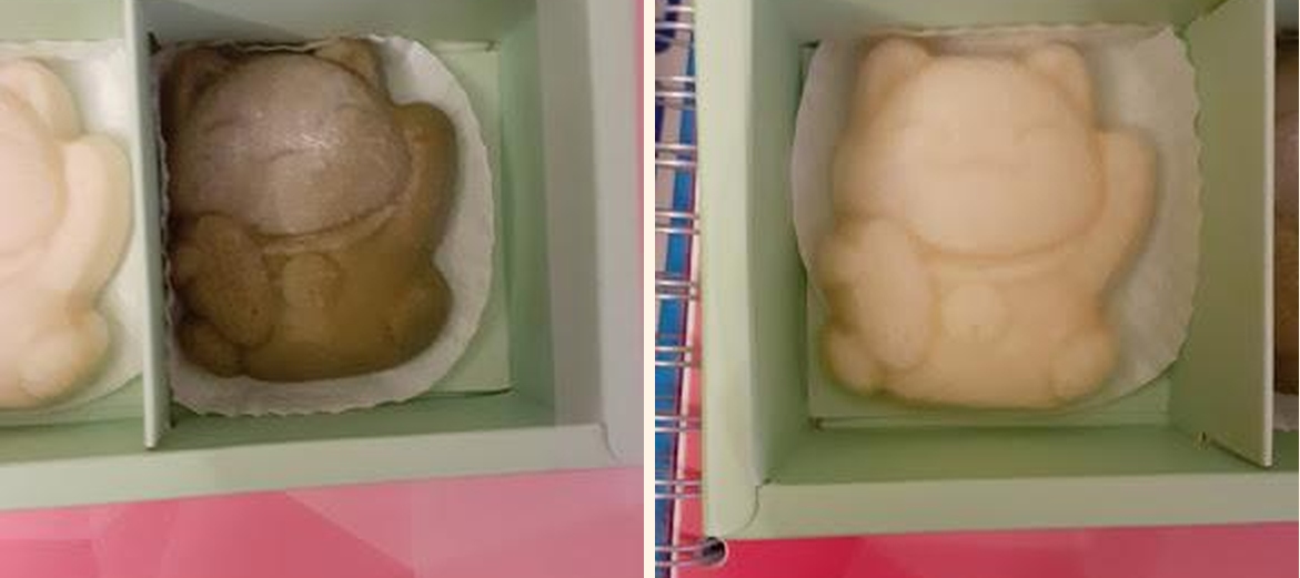 Cocoon - Gallery Image 4